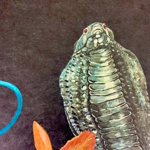 Paul Van Hoeydonck - Cobra in space kopen? Bied vanaf 110!