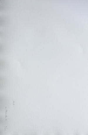 Jan van Munster - 6 pyrogravures in portfoliomap kopen? Bied vanaf 895!