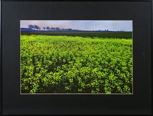 Paul Huf - Foto, Zonder titel - Ingelijst kopen? Bied vanaf 1!