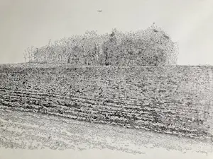 AcheterNiet of onleesbaar gesigneerd - tekening van landschap op papier - Sylvi Sluijter (zie uitleg) - 1991? Enchérissez de 1!