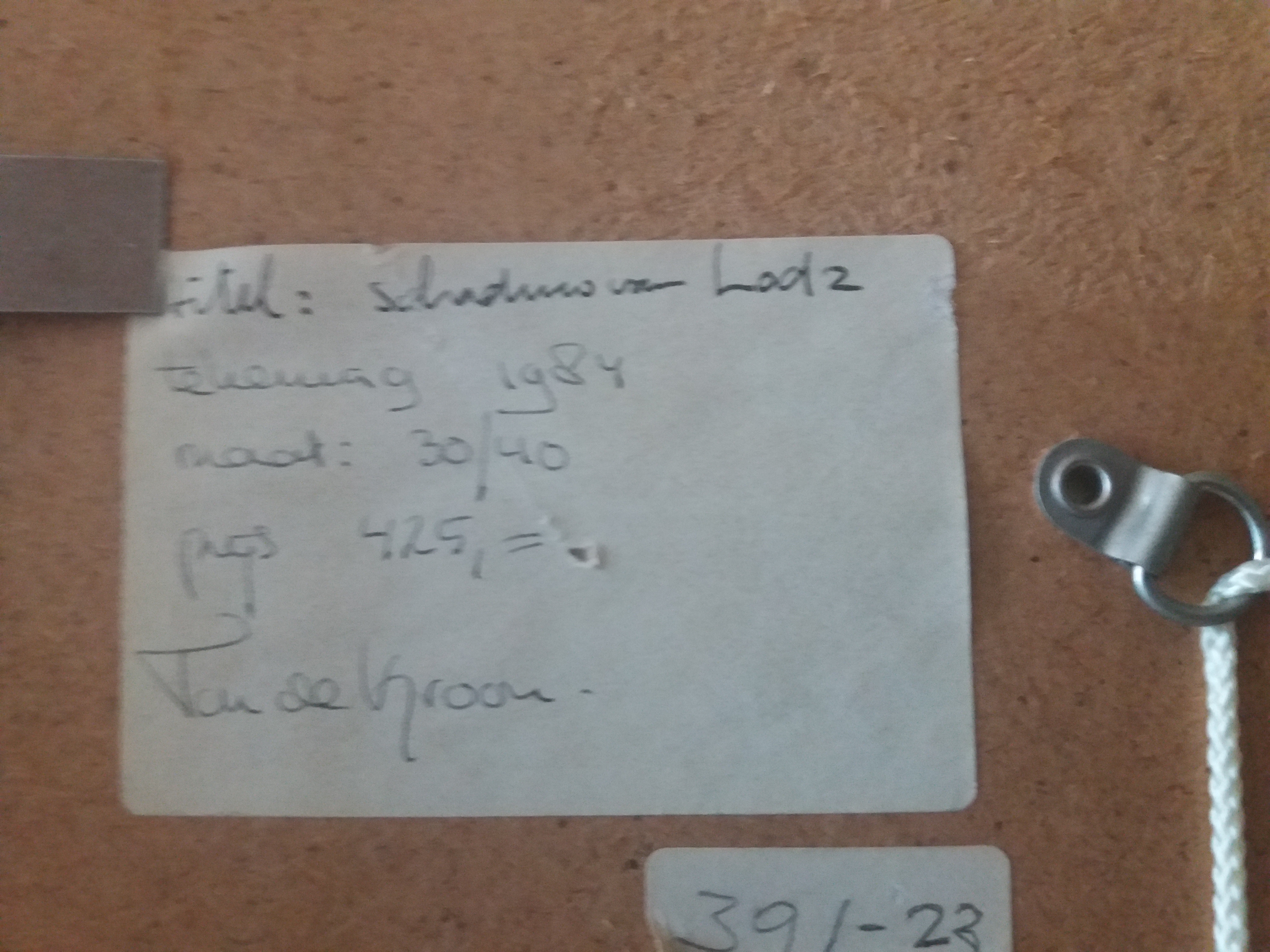 Ton de Kroon - Schaduw van Ludz kopen? Bied vanaf 50!