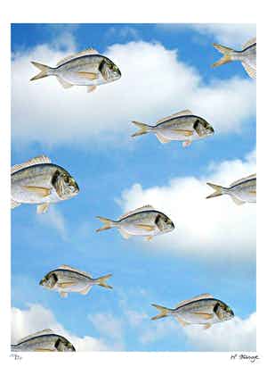 Mr. Strange - A conte courant verkocht voor € 50!