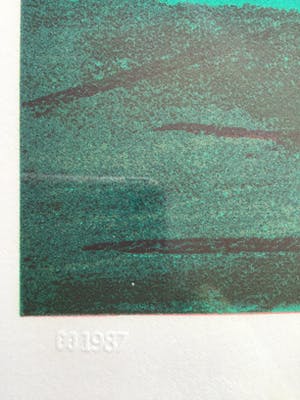 Peter Bes - Zeefdruk, gesigneerd en ingelijst kopen? Bied vanaf 50!