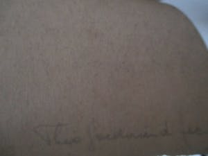 Theo Goedvriend - Pastel/potloodtekening kopen? Bied vanaf 30!