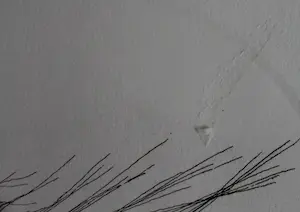 Gerard van Rooy - Ets: fazantveer - 1978 kopen? Bied vanaf 10!