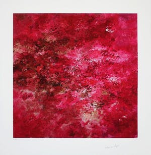 Armando - Kleurengiclee ROTES BILD Handgesigneerd SLECHTS 30 EX!!! kopen? Bied vanaf 159!