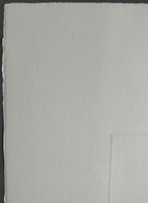 Ronald Tolman - gesigneerde ets kopen? Bied vanaf 69!