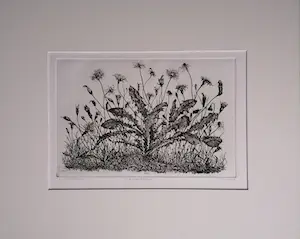 Willem Minderman - paardenbloemen kopen? Bied vanaf 10!