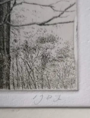 Han van Hagen - Bomen in landschap kopen? Bied vanaf 10!