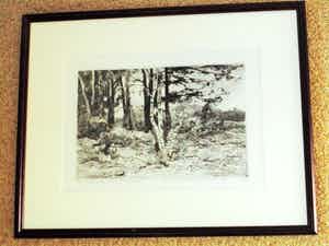 Theo Beerendonk - grafiek - Duinlandschap verkocht voor € 35!