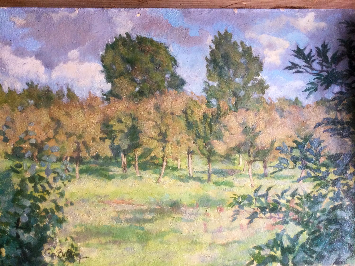 Cees Bolding - Olieverf Betuwe verkocht voor € 160!