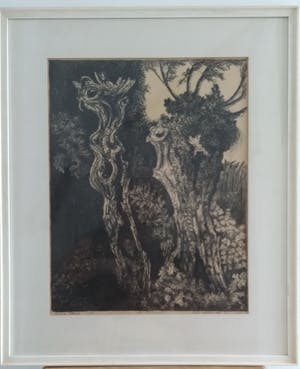 Jan van den Thillart - handgedrukte litho, lage oplage, goede staat, mystiek werk kopen? Bied vanaf 1!