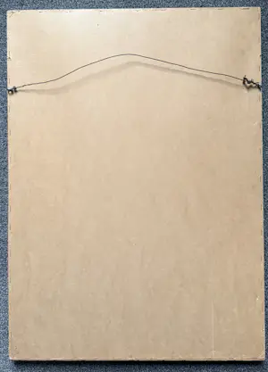 Hendrik Breedveld - Canna's kopen? Bied vanaf 50!