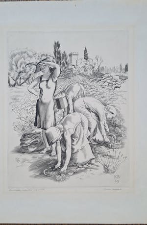 Kuno Brinks - Lavendelpluksters kopen? Bied vanaf 150!