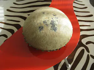 Iet Cool-Schoorl - Keramieke zwam kopen? Bied vanaf 90!