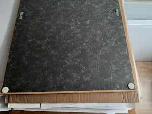 Ad Kooijmans - Ets, Zonnebloem. kopen? Bied vanaf 35!