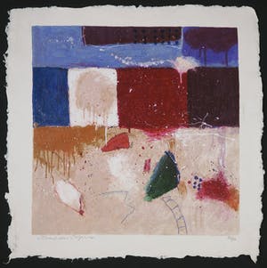 Alexander Vogels - Zeefdruk op geschept papier, Evolutions II kopen? Bied vanaf 1!