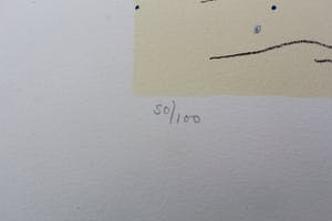 Kees Salentijn - zeefdruk -1997 kopen? Bied vanaf 49!