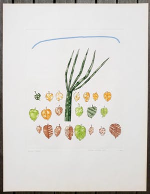 Harrie Gerritz - Kleine herfst, aquatint ets kopen? Bied vanaf 60!