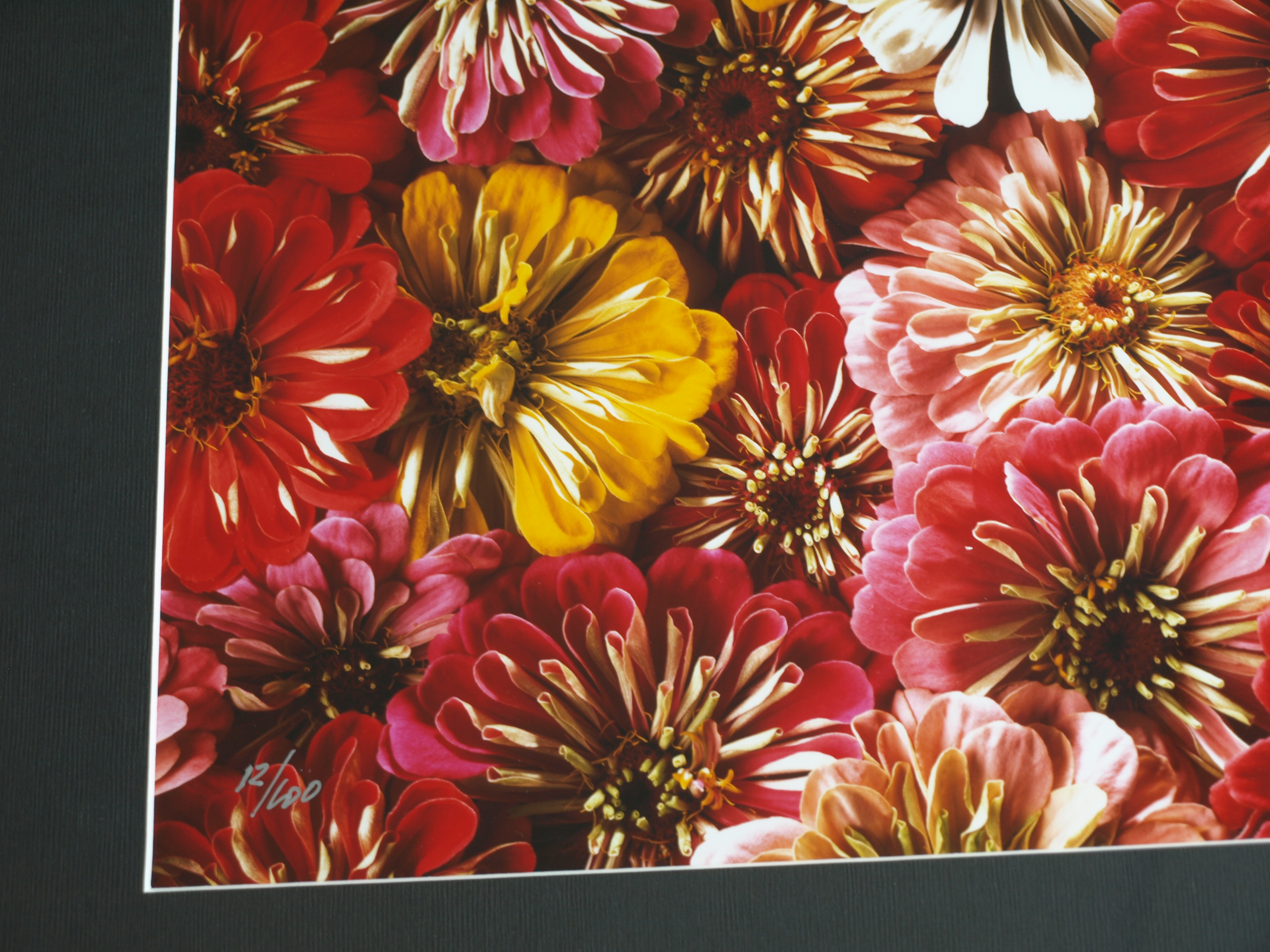 Paul Huf - Foto - Flowers – gesigneerd & ingelijst - 1984  kopen? Bied vanaf 125!