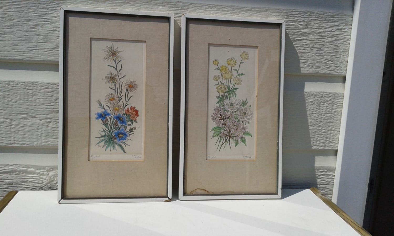 Tjitske Elisabeth Tiele-Modderman (1901-1990)