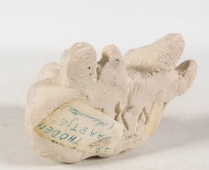 Eka Thoden van Velzen - Aardewerk, Paartje kopen? Bied vanaf 50!