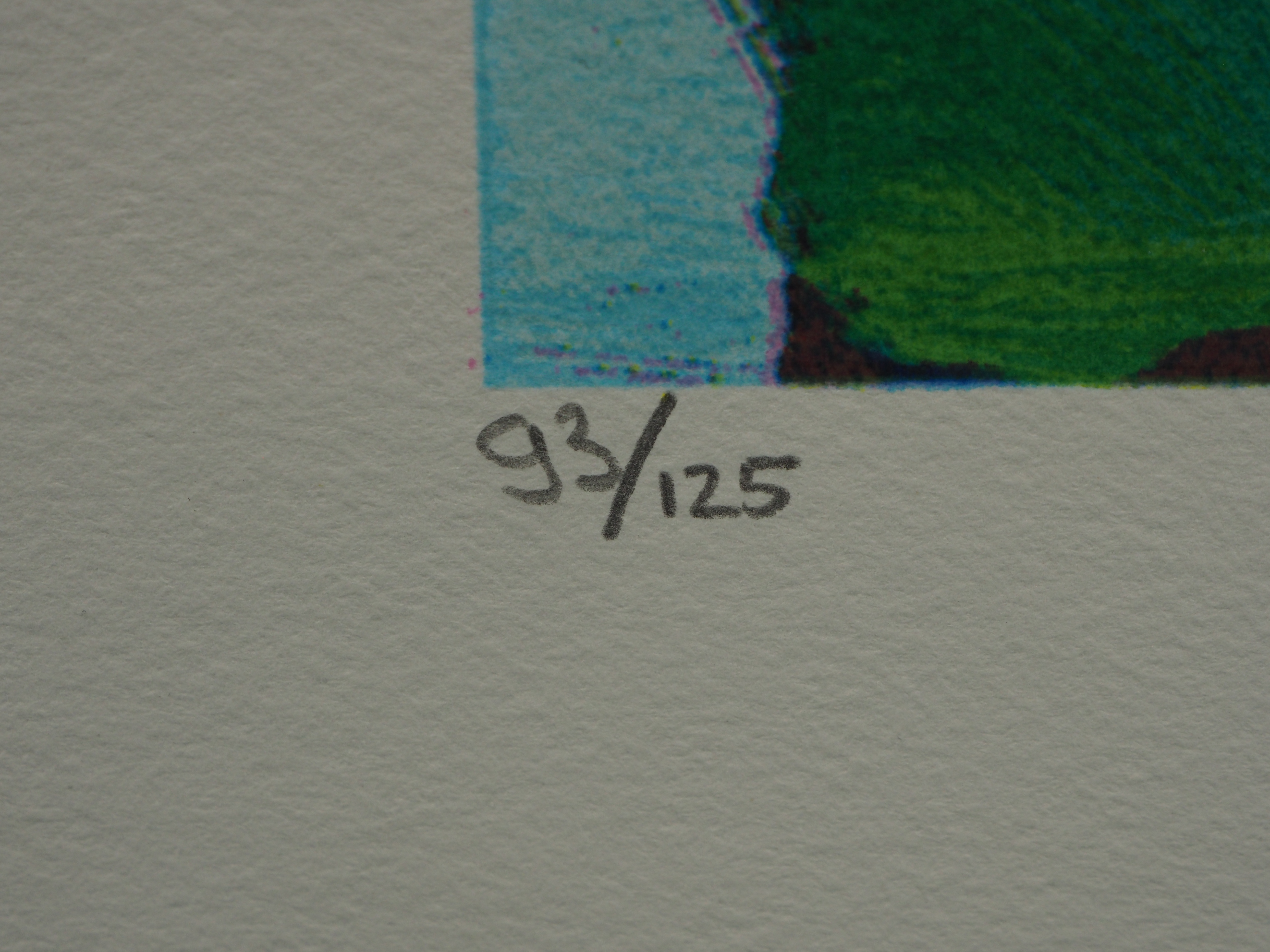 Jentsje Popma - Bollenveld kopen? Bied vanaf 50!