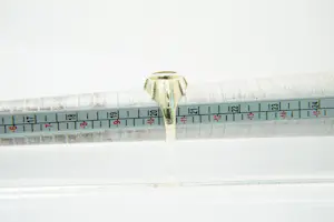 21 -14krt geel gouden ring met 2 1/2 gulden Wilhelmina (naslag) muntje kopen? Bied vanaf 240!