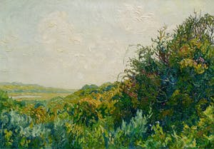 Ad Blok van der Velden - Texel, olieverf op doek (laatste keer, in prijs verlaagd!!!) kopen? Bied vanaf 975!