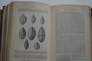 Antiquarisch Boek - Charles Darwin; The variation of animals and plants. In 2 delen compleet! kopen? Bied vanaf 150!