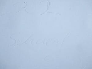 Eran Schaerf - Offset print Sonsbeek 1993 kopen? Bied vanaf 35!