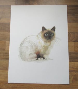 Niet of onleesbaar gesigneerd - Mads Stage - 4 Studies of Cats kopen? Bied vanaf 1!