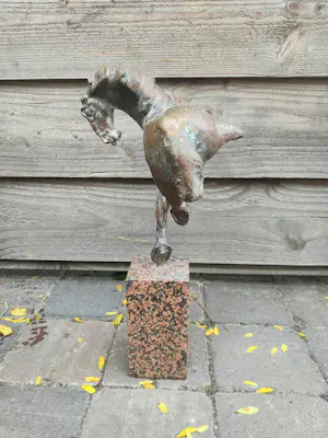 Jos Dirix - Camarqua kopen? Bied vanaf 1200!