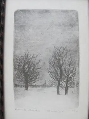 Ronnie Meerts - Winter kopen? Bied vanaf 20!