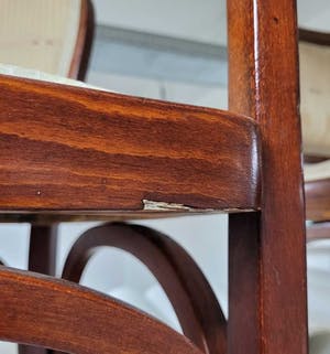 Gustav Siegel - Acht stoelen voor J&J Kohn, Wien - Wiener Werkstatte/Bauhaus kopen? Bied vanaf 1200!