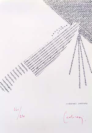 Domenico Cerroni Cadoresi - Concrete Poetry verkocht voor € 50!