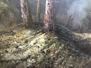 Harry Zeegers - Zonder titel kopen? Bied vanaf 1!