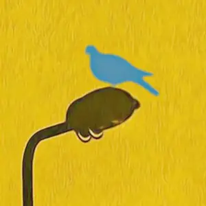 Mr Strange - De blauwe vogel kopen? Bied vanaf 85!