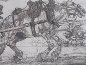 Pieter Dupont - Karrepaard in Parijs kopen? Bied vanaf 90!