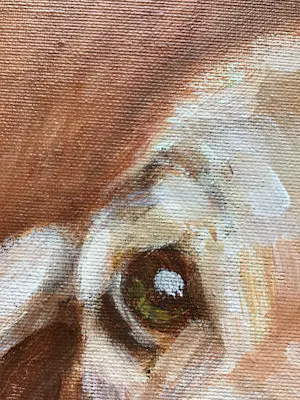 Niet of onleesbaar gesigneerd - Schilderij van hondje op board, in baklijst kopen? Bied vanaf 10!