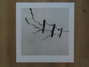 Armando - Der Zaun kopen? Bied vanaf 50!