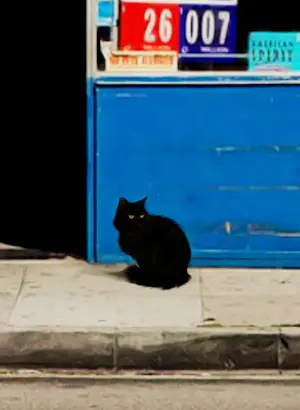 Mr. Strange - At Dave's kopen? Bied vanaf 85!