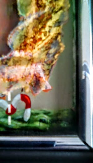 Frans Erkelens - onbekend kopen? Bied vanaf 85!