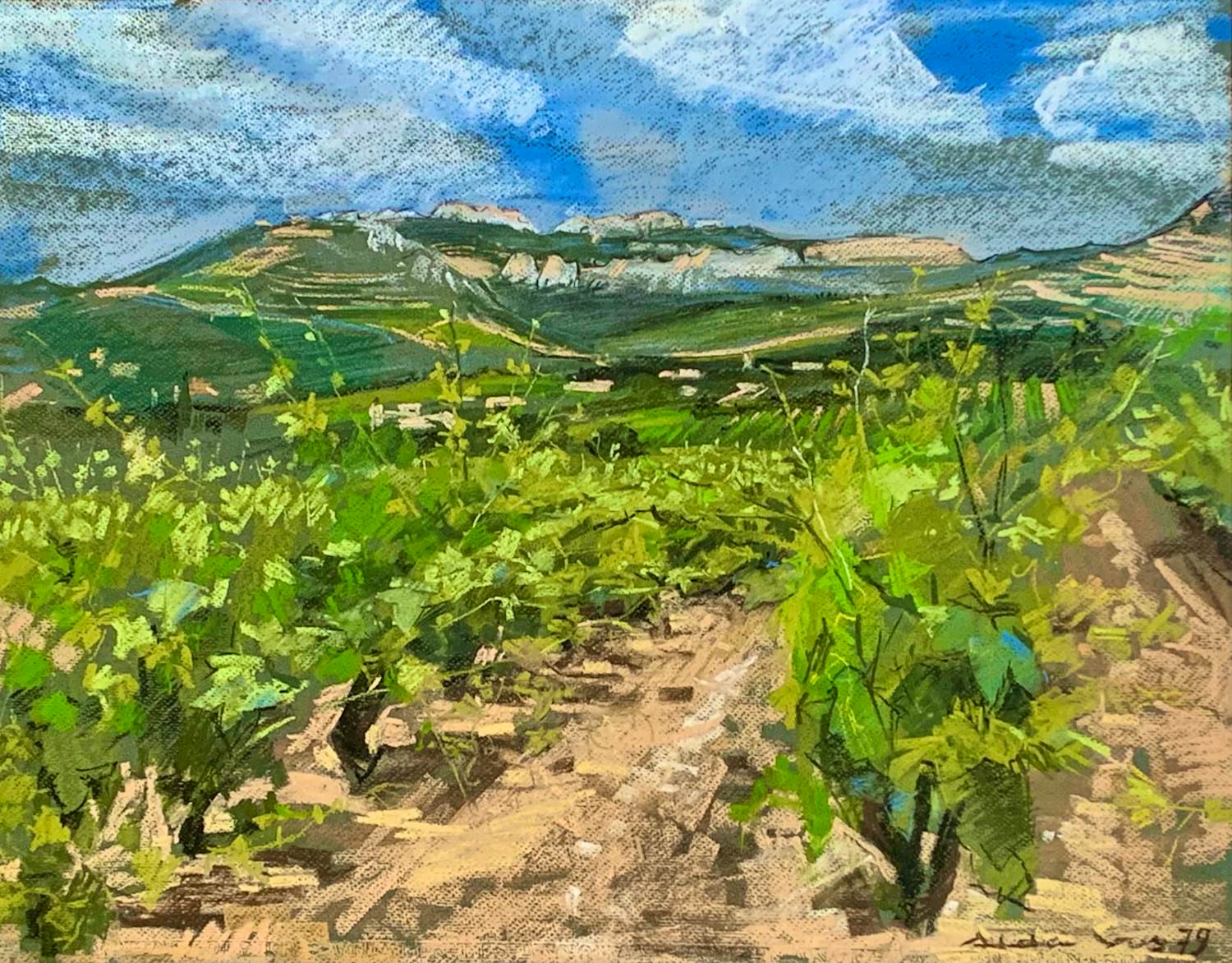 Alda Vos - landschap in Frankrijk kopen? Bied vanaf 150!