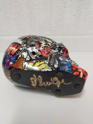 Hannes D'Haese - Skull kopen? Bied vanaf 75!