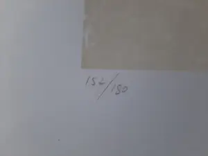 Peter Diem - Kleurenzeefdruk ABSTRAKT NAAKT kopen? Bied vanaf 40!