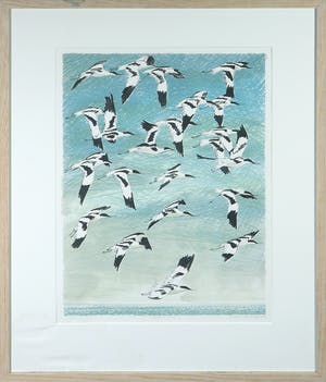 Joost Minnigh - Litho, Boven zee - Ingelijst kopen? Bied vanaf 1!