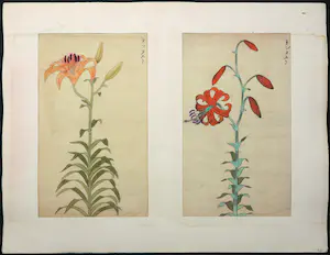 Niet of onleesbaar gesigneerd - Houtdruk, Lelie's kopen? Bied vanaf 1!