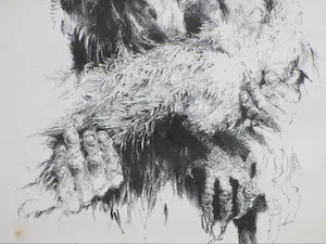 Jan Mensinga - Man met vier vogels - Litho kopen? Bied vanaf 1!