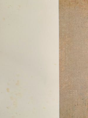 Leonor Fini - La fille Médiévale kopen? Bied vanaf 25!